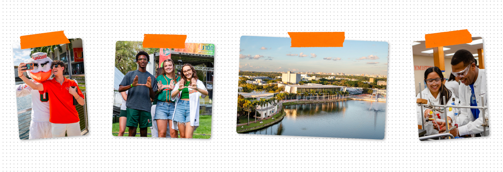 Preview the U