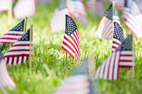 flags in the ground