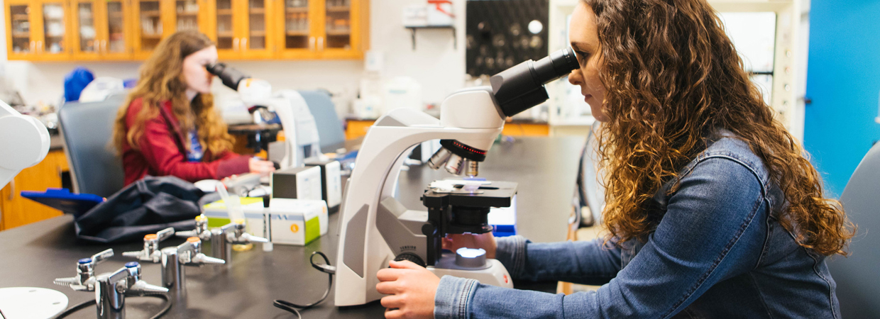 Student looking into microscope