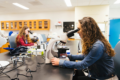Student looking into microscope in class